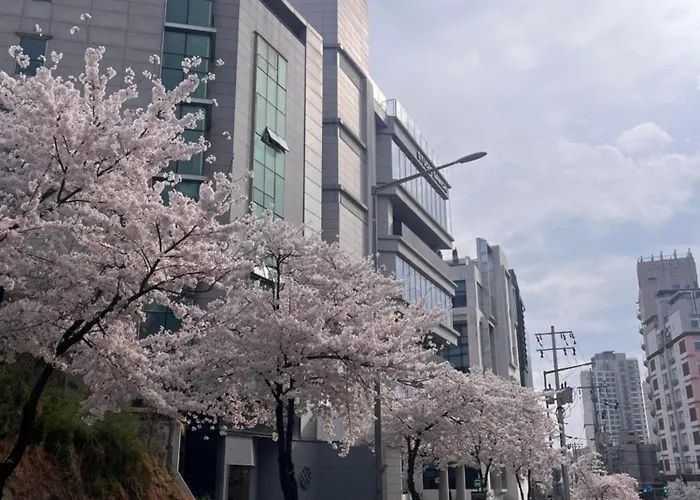 풀하우스 한강 203-1호 #무료주차 #무료와이파이 *